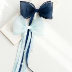 گیره سر مرواریدی فرانسوی