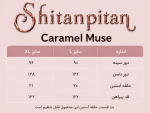 پیراهن Caramel Muse - Image 9